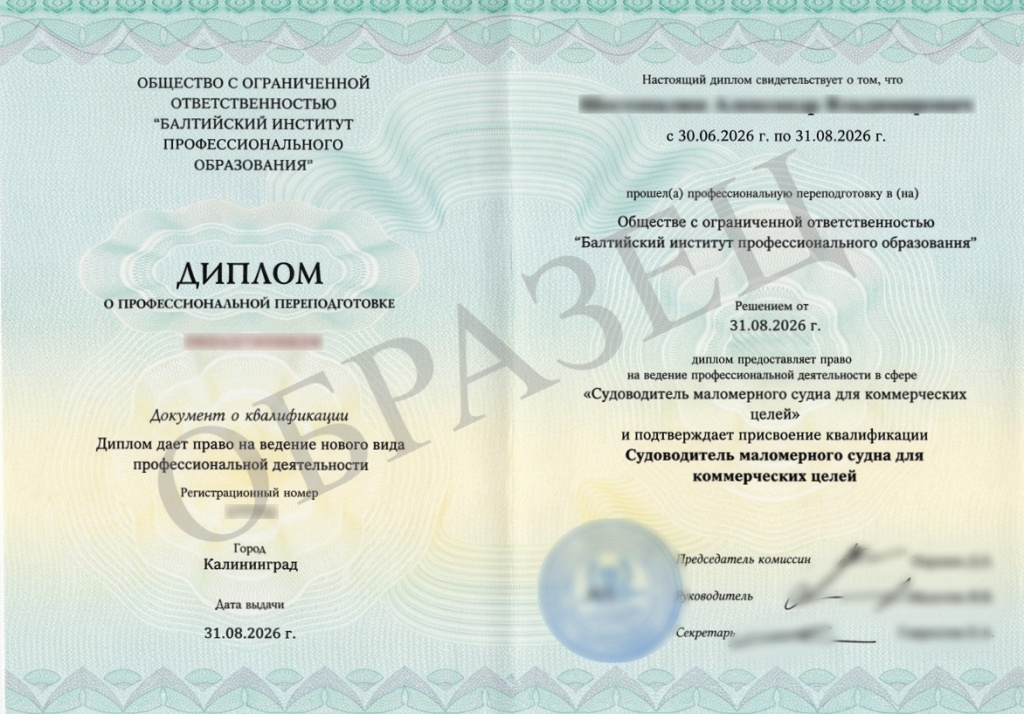 Диплом о профессиональной переподготовке — образец 2