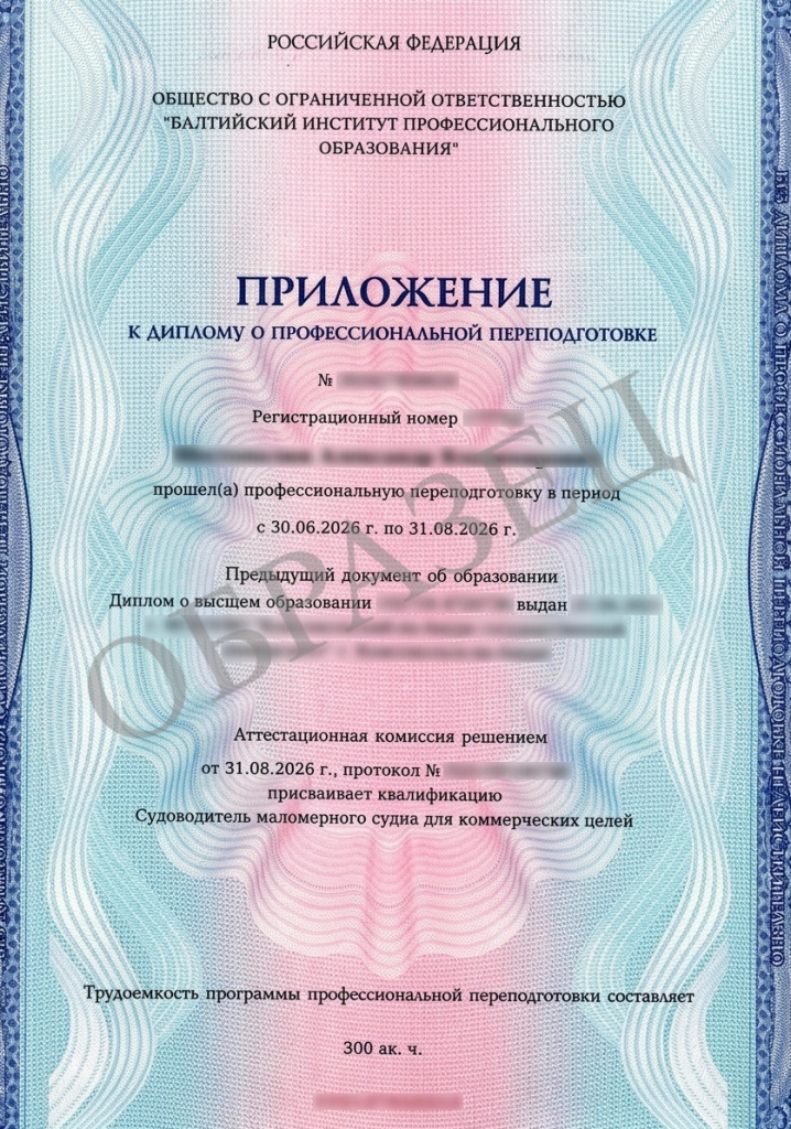 Диплом о профессиональной переподготовке — образец 3